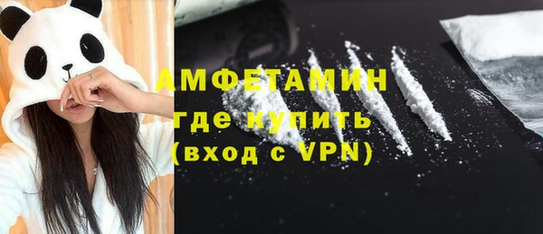 амф Дмитриев
