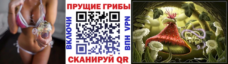 Псилоцибиновые грибы ЛСД Печоры